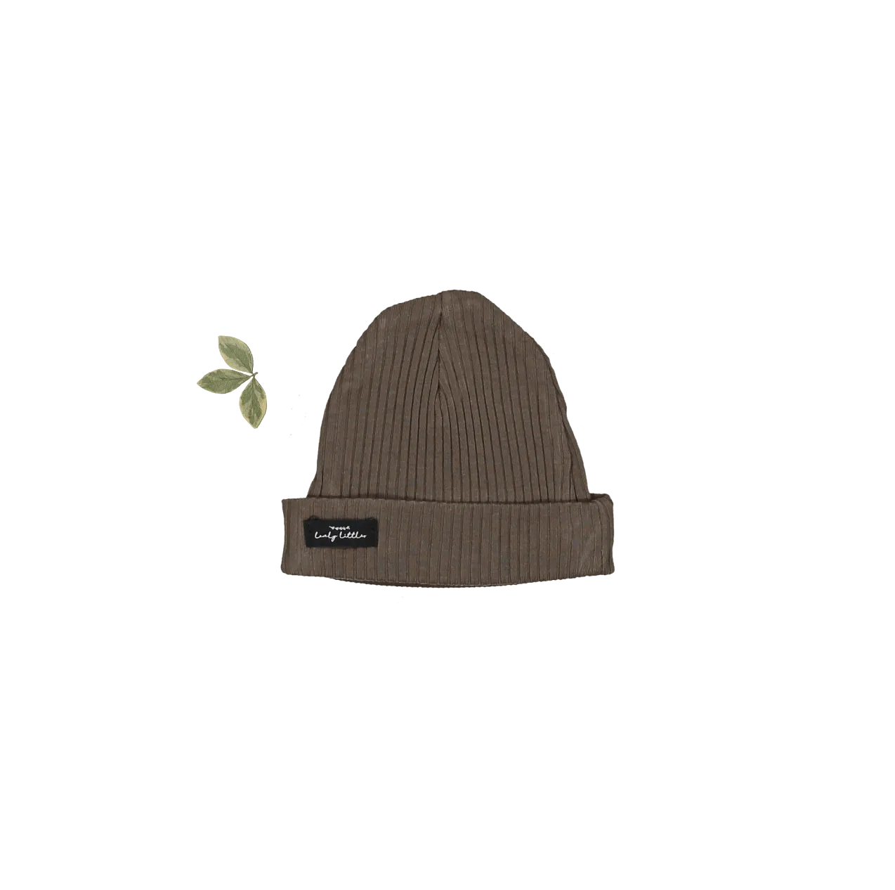 The Hat - Cocoa
